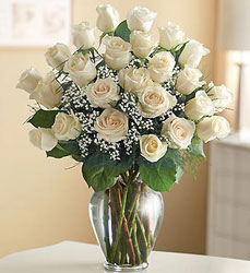 Ultimate Elegance White Roses Davenport Florist - Same Day Flower Delivery - Flower Power 